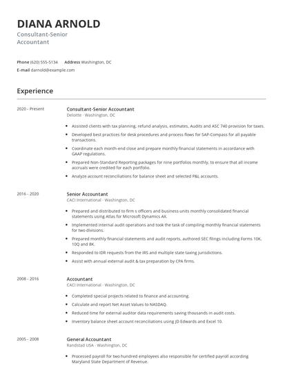Consultant-Senior Accountant Resume