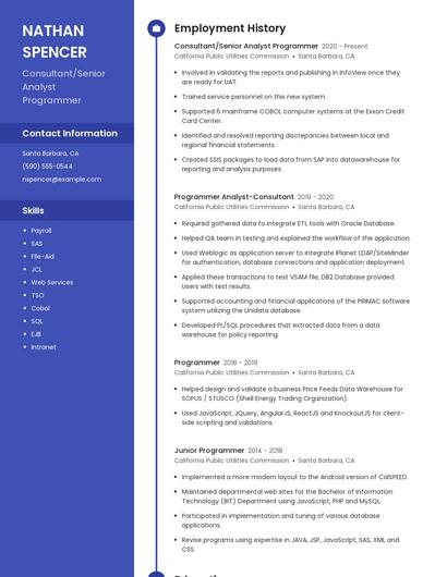 Consultant/Senior Analyst Programmer Resume