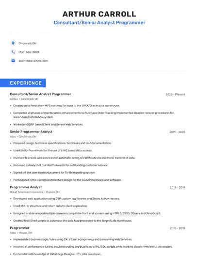 Consultant/Senior Analyst Programmer Resume