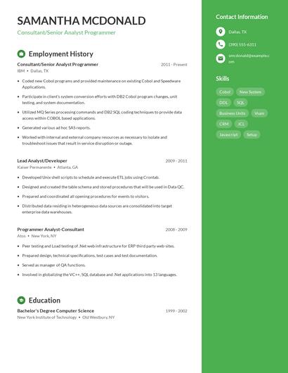 Consultant/Senior Analyst Programmer Resume