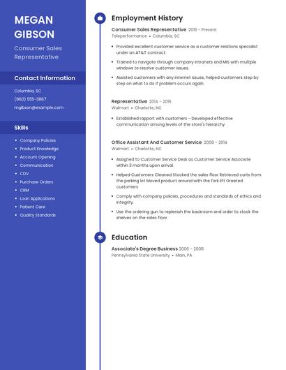 Resume example 4