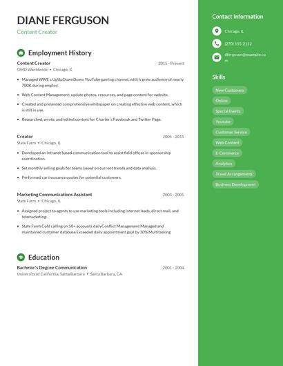 Resume example 4