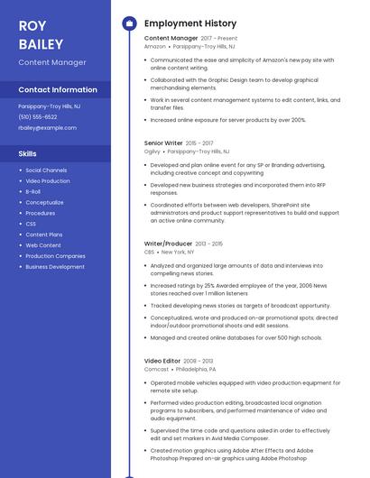 Resume example 4