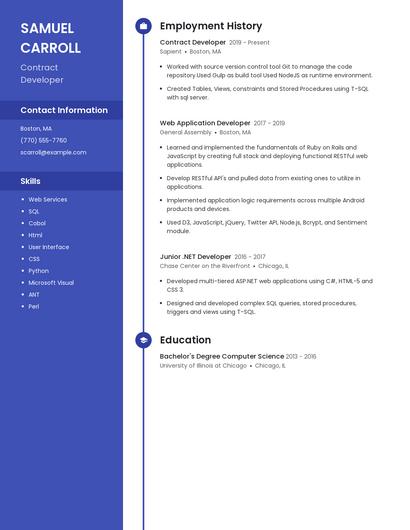 Resume example 5