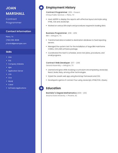 Contract Programmer Resume