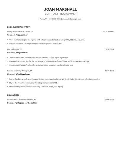 Contract Programmer Resume
