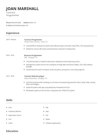 Contract Programmer Resume
