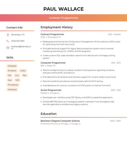 Contract Programmer Resume