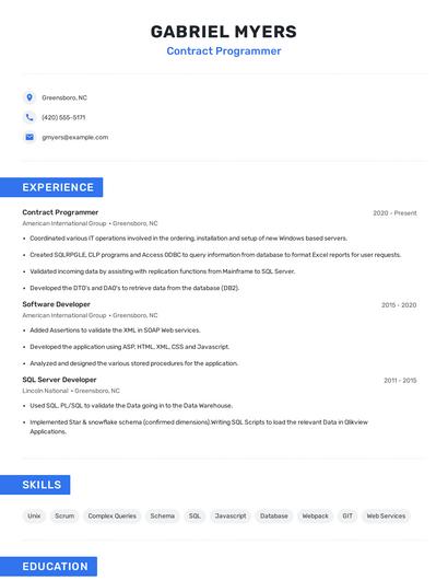 Contract Programmer Resume