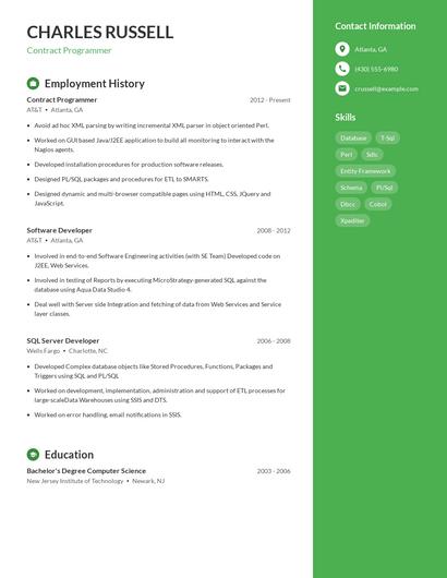 Contract Programmer Resume