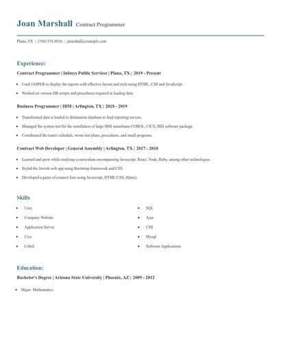 Contract Programmer Resume