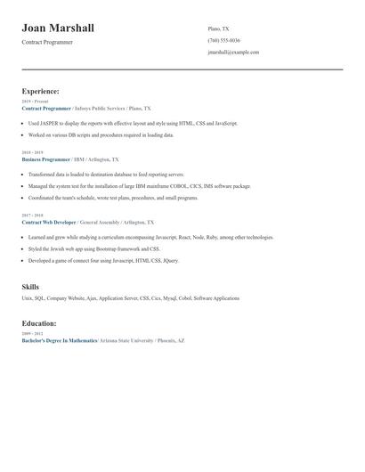 Contract Programmer Resume