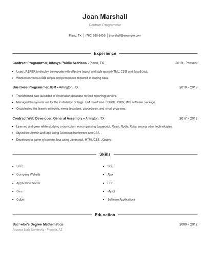 Contract Programmer Resume