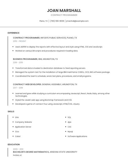 Contract Programmer Resume