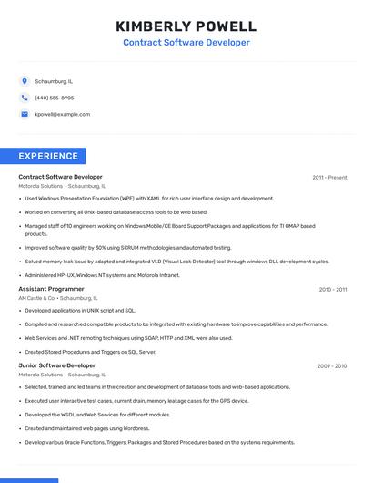 Contract Software Developer Resume