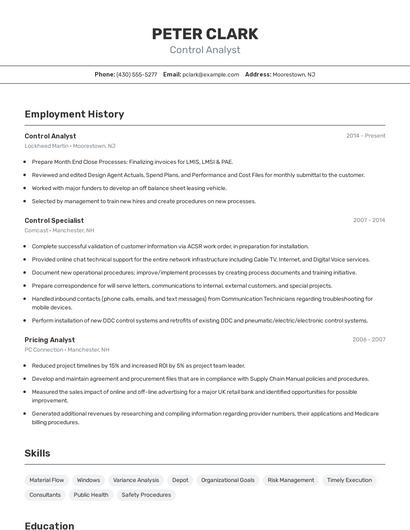 Resume example 2