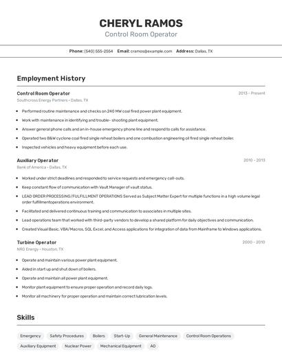 Resume example 2