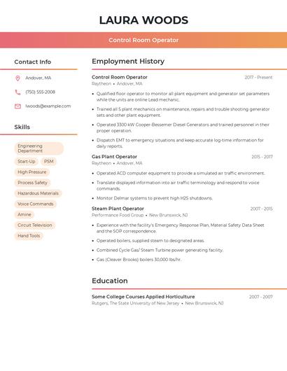Resume example 3