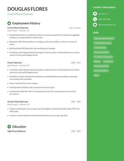 Resume example 4