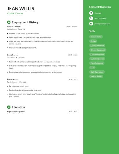 Cooker Cleaner Resume