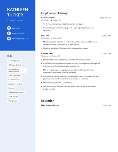 Cooker Cleaner Resume