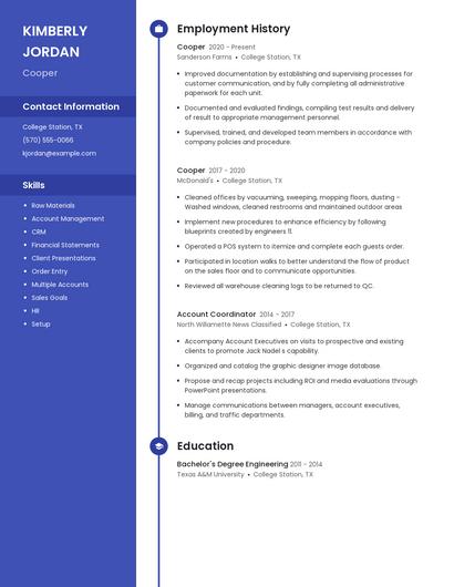 Resume example 5