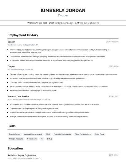 Resume example 2