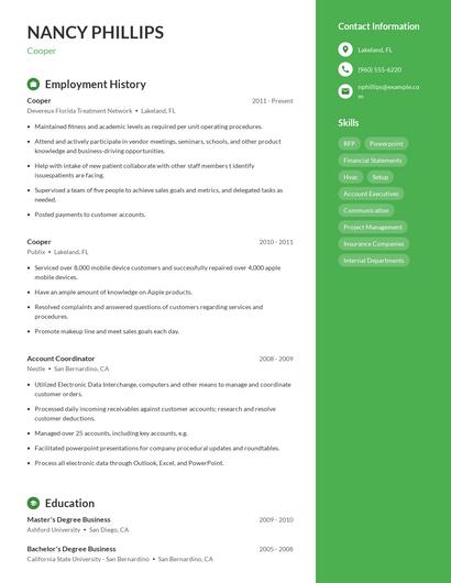 Resume example 4