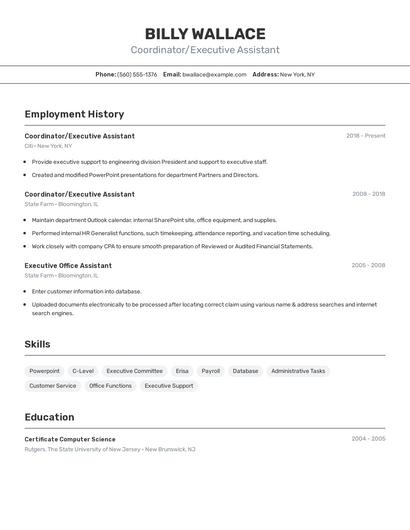 Resume example 2