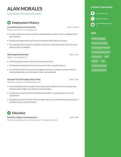 Resume example 4