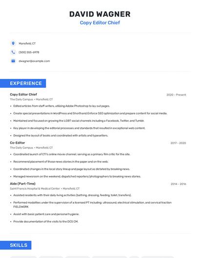Copy Editor Chief Resume