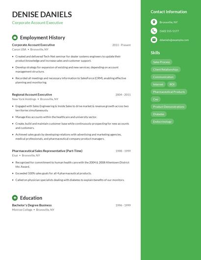 Resume example 4