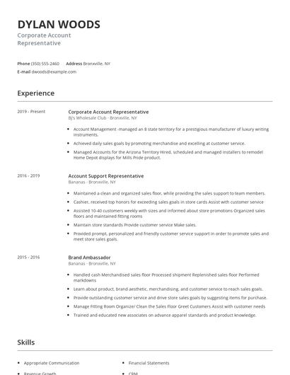 Corporate Account Representative Resume