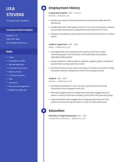 Corporate Auditor Resume