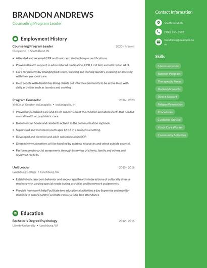 Counseling Program Leader Resume