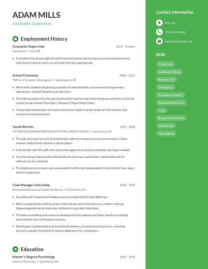 Counselor Supervisor Resume