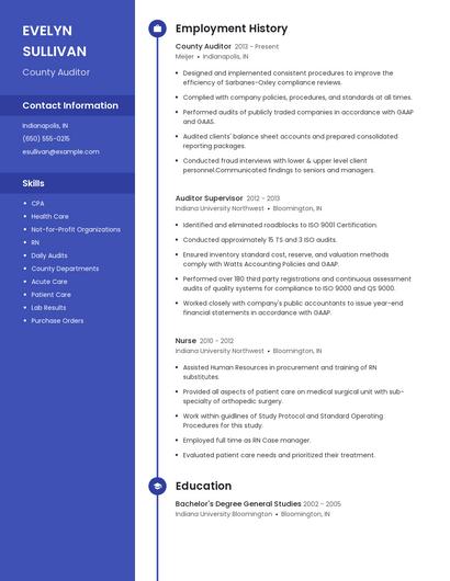 County Auditor Resume