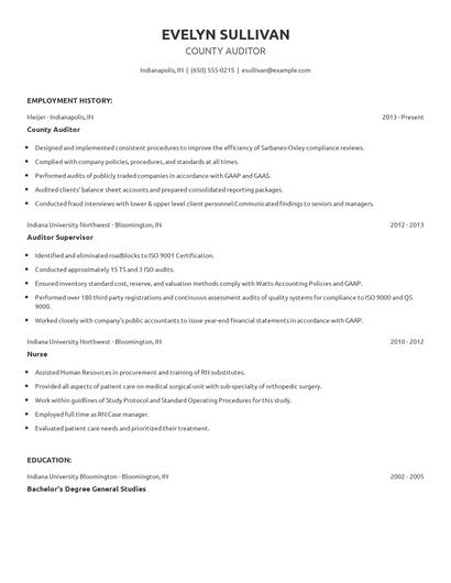 County Auditor Resume