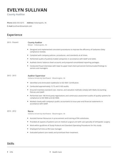 County Auditor Resume