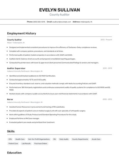 County Auditor Resume