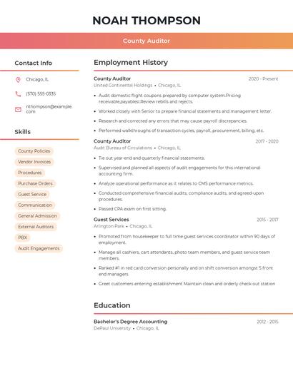 County Auditor Resume