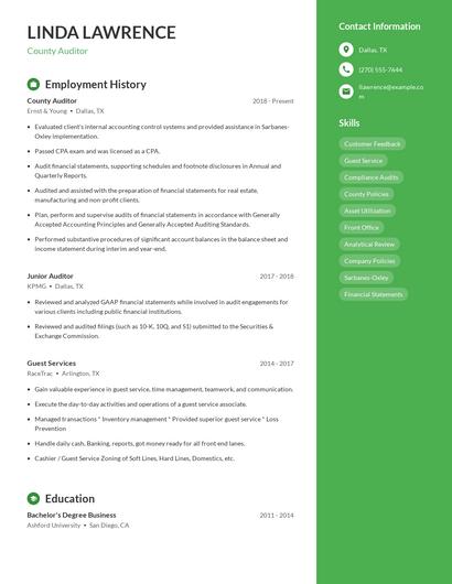 County Auditor Resume