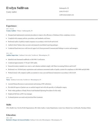 County Auditor Resume