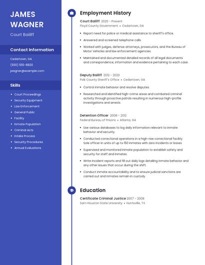Court Bailiff Resume
