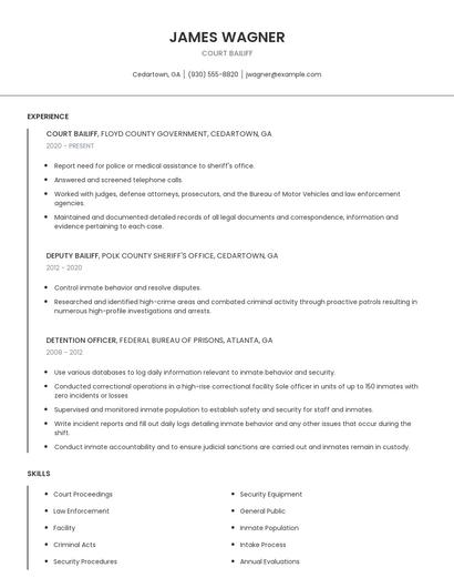 Court Bailiff Resume