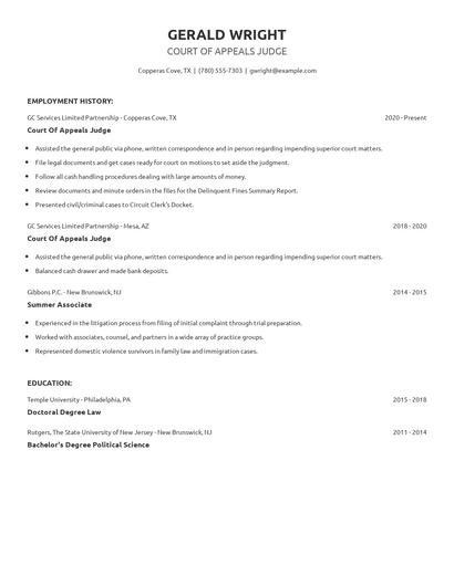 Court Of Appeals Judge Resume