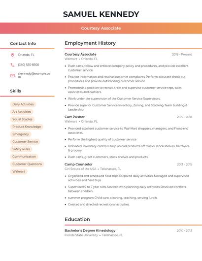 Resume example 3