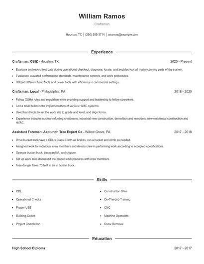 Resume example 1