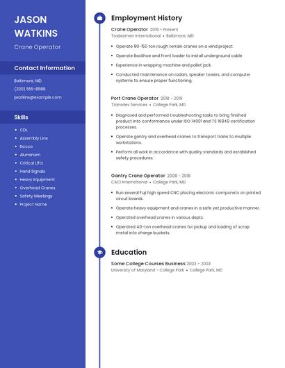 Resume example 5