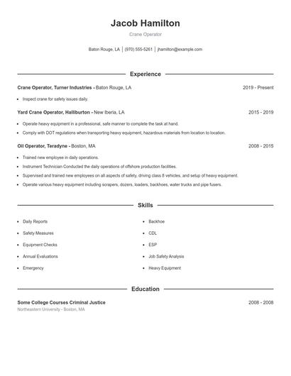 Resume example 1